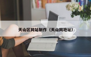 海盐天山区网站制作（天山网地址）