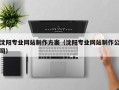 海盐沈阳专业网站制作方案（沈阳专业网站制作公司）