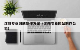 海盐沈阳专业网站制作方案（沈阳专业网站制作公司）